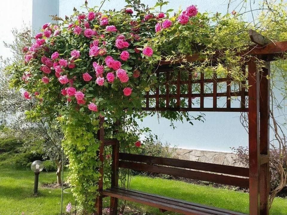 Yassen Holiday Village Sunny Beach Exterior photo